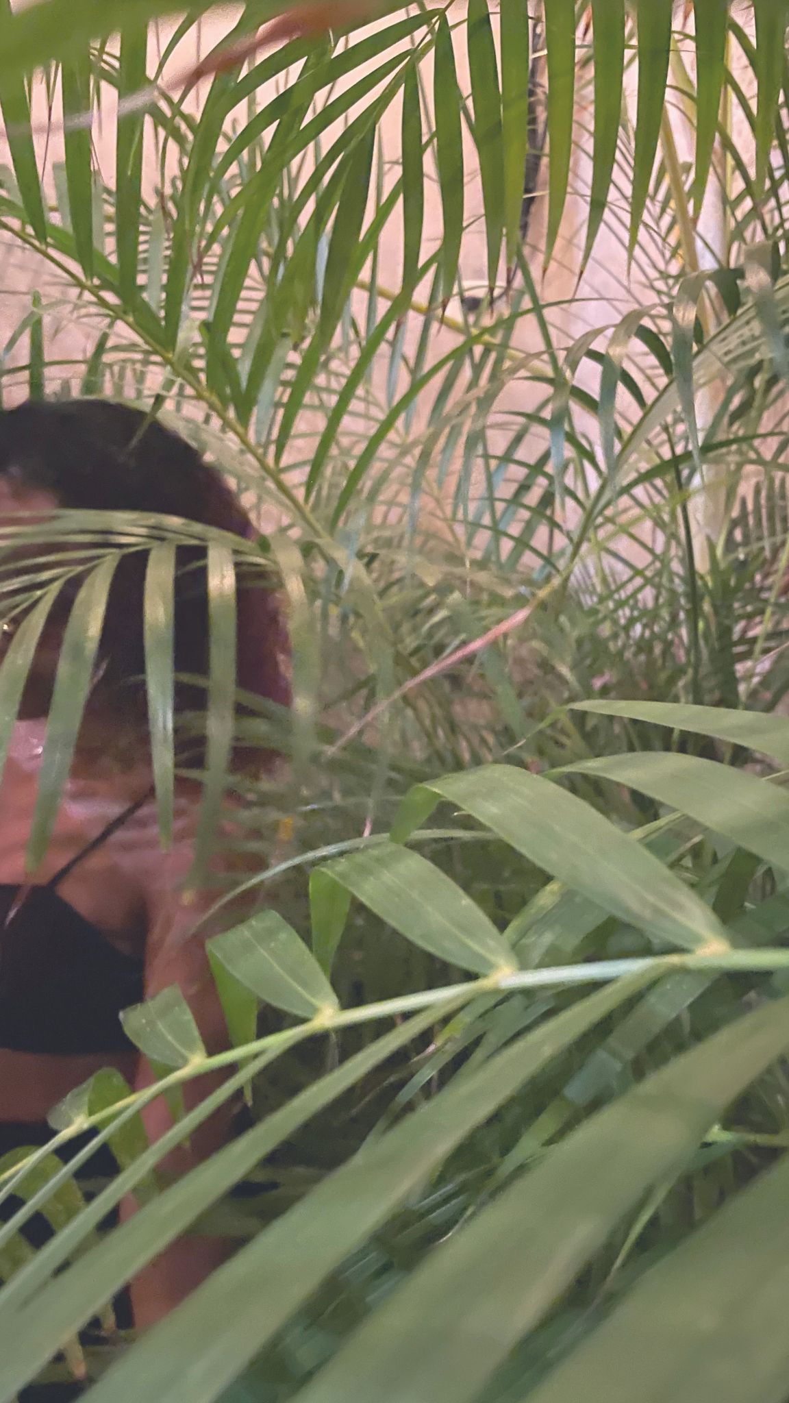 The Mentalchemist Match